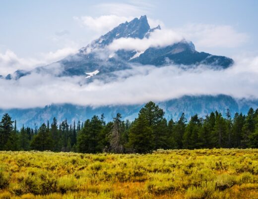 The Benefits of Joining a Solo Group Tour in America