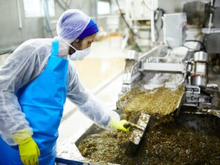 How to Choose the Best Equipment for Your Food Production Line