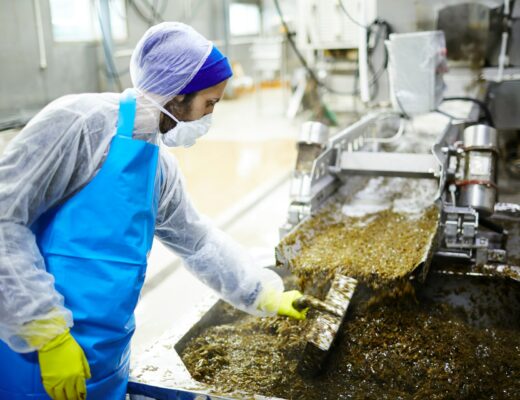 How to Choose the Best Equipment for Your Food Production Line